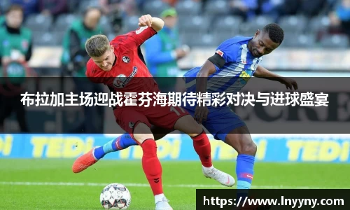 南宫集团官网